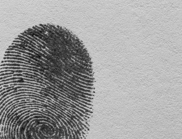 investigaciones internas, investigaciones corporativas, canal de denuncias